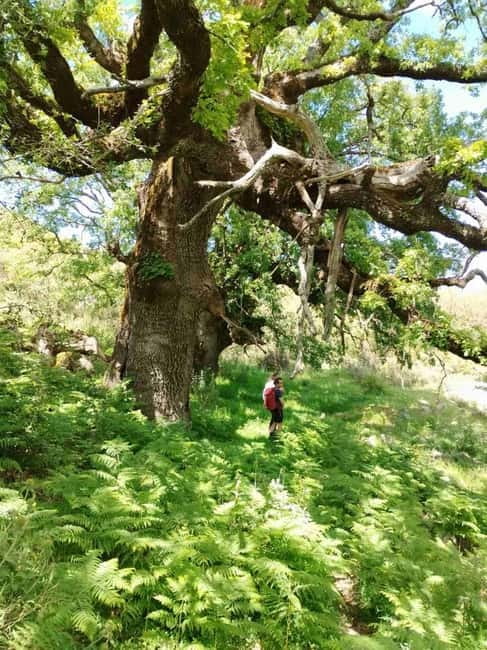 Nydri: Discover Local Culture, History & Beauty Guided Hike - Frequently Asked Questions