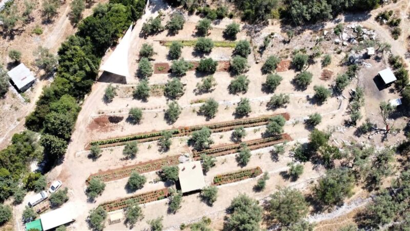 Nydri: Farm-to-Table Private Dining at Lefkada Micro Farm - Limitations and Considerations