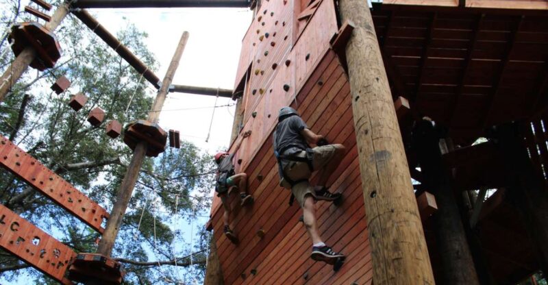 Oahu: Aerial Adventure, Climbing, & Freefall Experience - Key Points