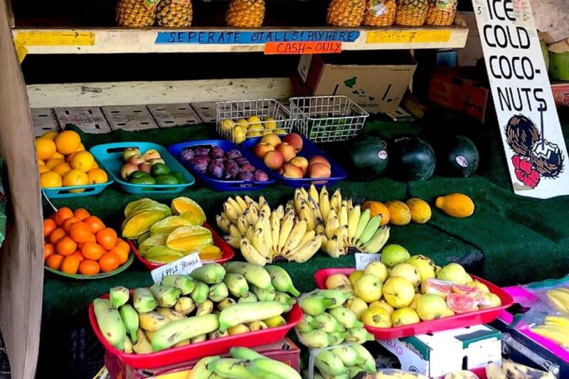 Oahu: Beauty and the Feast Circle Island Experience - A Guided Journey to Oahu’s Scenic Highlights