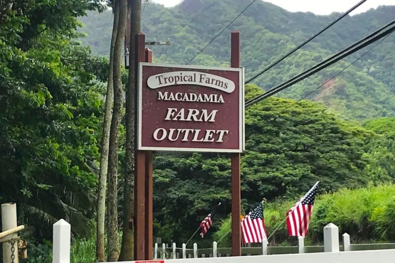 Oahu: Beauty and the Feast Circle Island Experience - Practical Details and Tips for the Tour