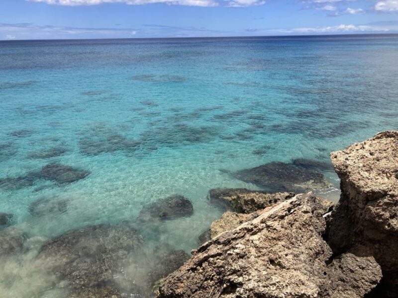 Oahu: Beginner SCUBA Dive at Electric Beach - Timing, Group Size, and Booking Flexibility