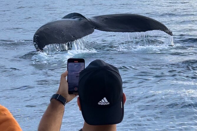 Oahu Boat Tour Ko Olina Experience - Discover the Ko Olina Glass Bottom Boat Tour for $99