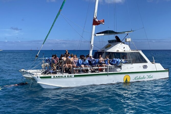 Oahu Catamaran Snorkel Tour: See Turtles 100% Guaranteed - Wildlife Encounters and Marine Life Sightings