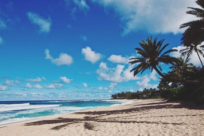 Oahu Circle Island: Snorkel with Turtles & Explore Turtle Beach - Key Points