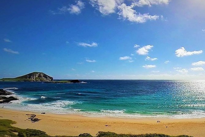 Oahu Circle Island: Snorkel with Turtles & Explore Turtle Beach - Delicious Hawaiian Plate Lunch at a Local Farm
