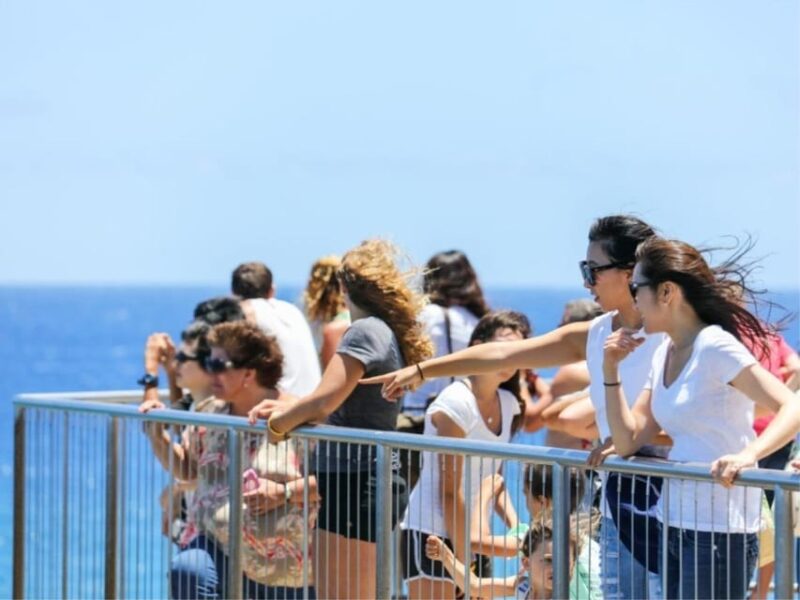 Oahu Circle Island Tour with Byodo-In Temple Admission - Cultural and Spiritual Experience at Byodo-In Temple