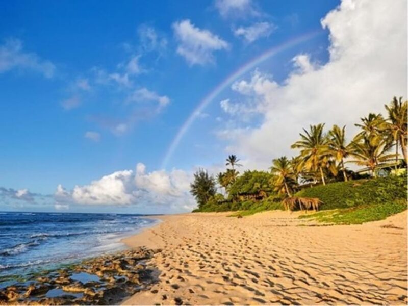 Oahu Circle Island Tour with Byodo-In Temple Admission - Exploring North Shore’s Famous Surf Beaches