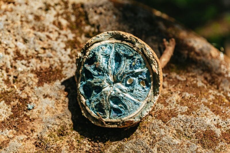 Oahu: Circle Island Tour with Lunch & Waimea Waterfall - North Shore Lunch and Turtle Spotting