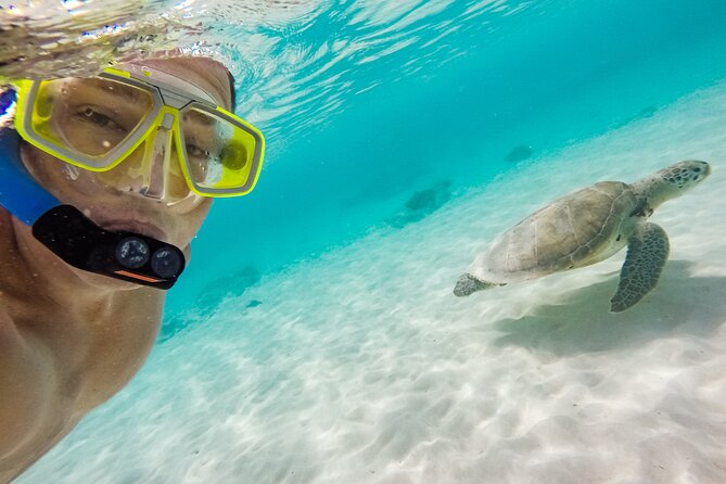 Oahu Coastline Cruise: Turtle Snorkeling and Jumping Platform - The Crew and Safety Protocols