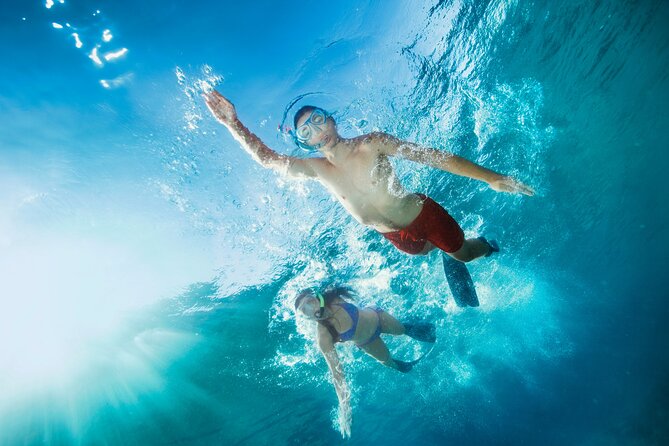 Oahu Coastline Cruise: Turtle Snorkeling and Jumping Platform - Marine Life Encounters: What You Might See