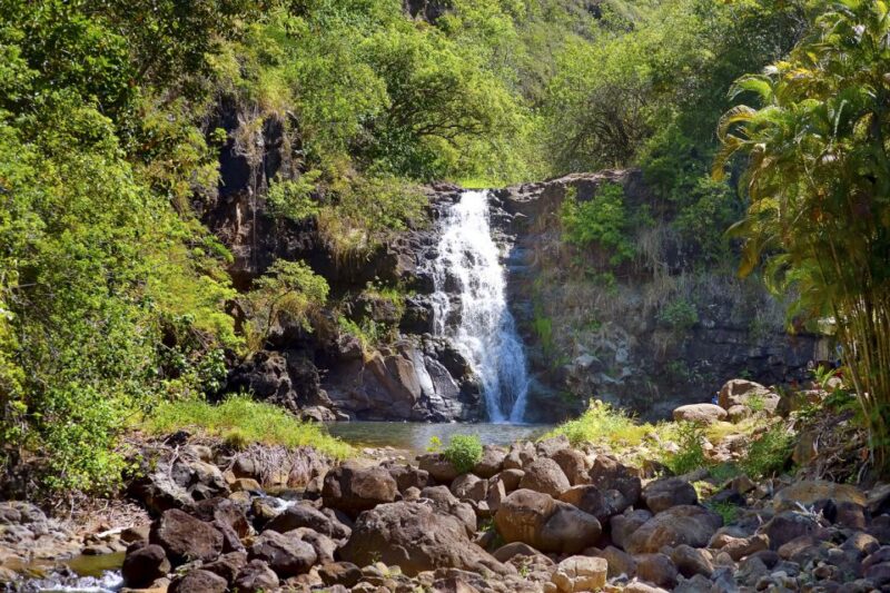 Oahu: Complete Island Tour with Tropical Waterfall Swimming - Coastal Lookouts including Makapuu and Halona Blowhole