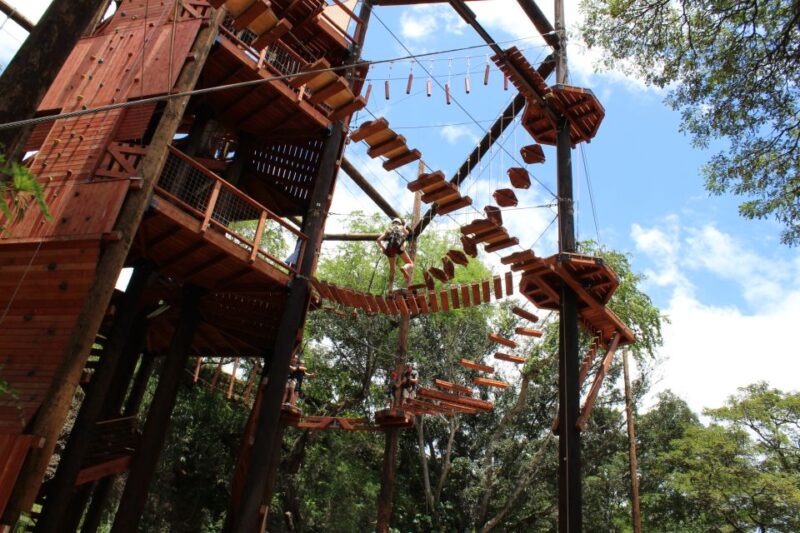 Oahu: Coral Crater Aerial Challenge Course - Navigating the 18 Challenge Elements at Adventure Tower