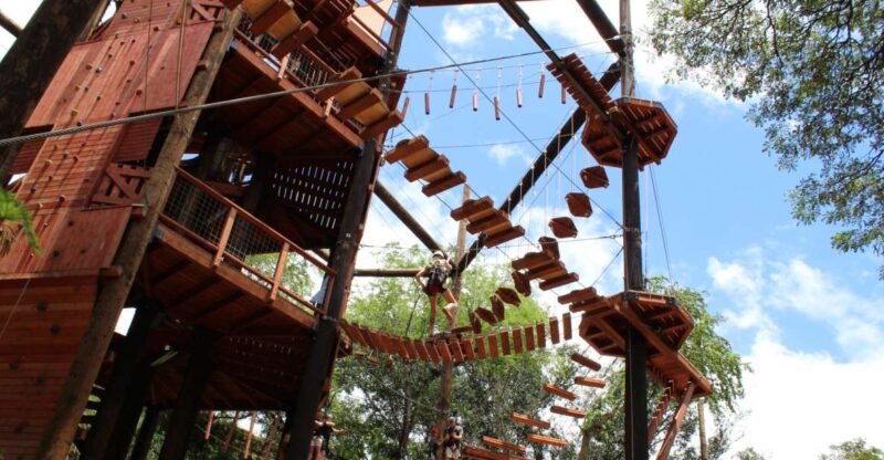 Oahu: Coral Crater Aerial Challenge Course - Timing and Pacing of the Challenge Course