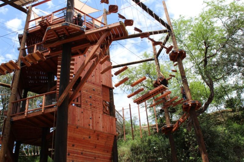 Oahu: Coral Crater Aerial Challenge Course - Who Will Most Enjoy This Challenge?