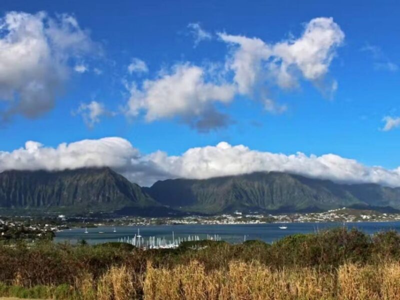 Oahu: Custom Private Island Tour of O'ahu - Key Points