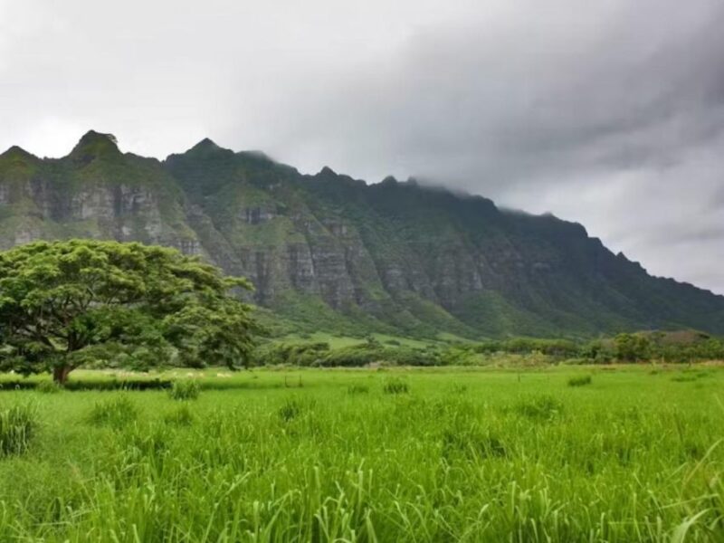 Oahu: Custom Private Island Tour of O'ahu - Capture Iconic Photos at Chinamans Hat and Kualoa Ranch