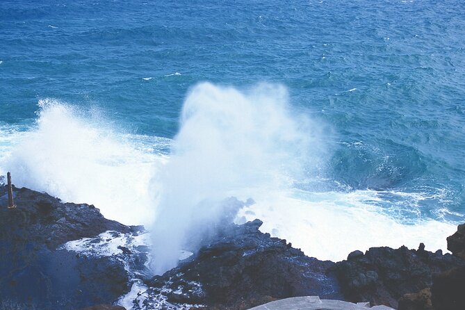 Oahu Deluxe Grand Circle Island Tour - Comfort and Convenience on a Well-Equipped Bus