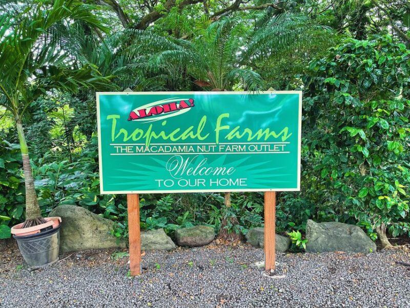 Oahu: Diamond Head Crater Hike and North Shore Experience - Practical Details: Logistics, Packing, and Accessibility