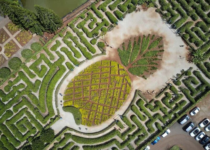 Oahu: Dole Plantation & Haleiwa Express Deluxe Tour - Discover the Heart of Oahu: Dole Plantation & Haleiwa in a Day