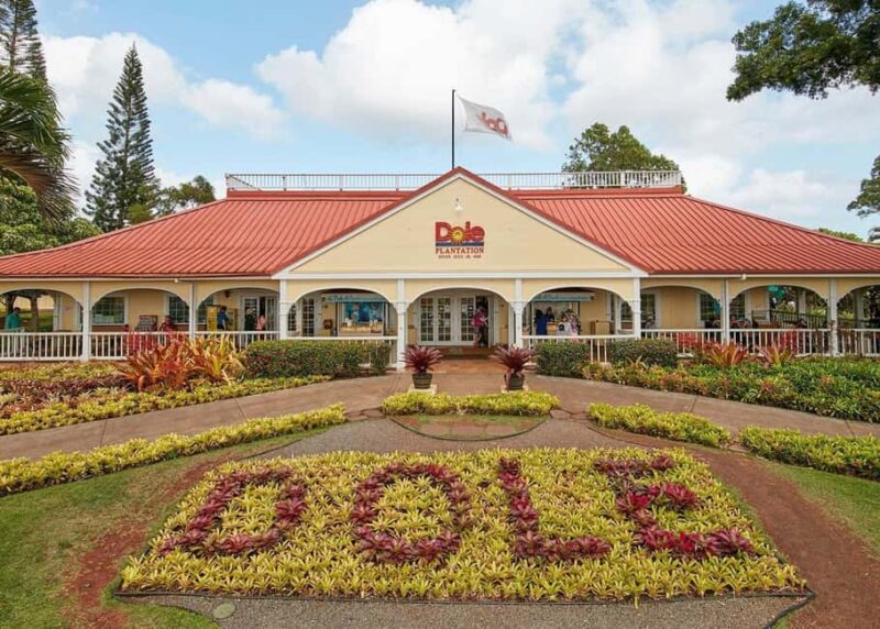 Oahu: Dole Plantation & Haleiwa Express Deluxe Tour - Key Points