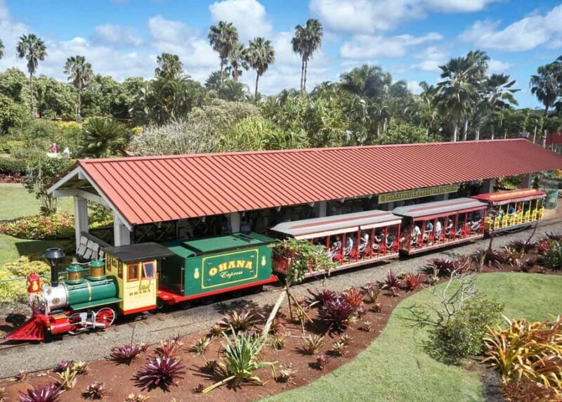 Oahu: Dole Plantation & Haleiwa Express Deluxe Tour - Accessibility and Practical Details
