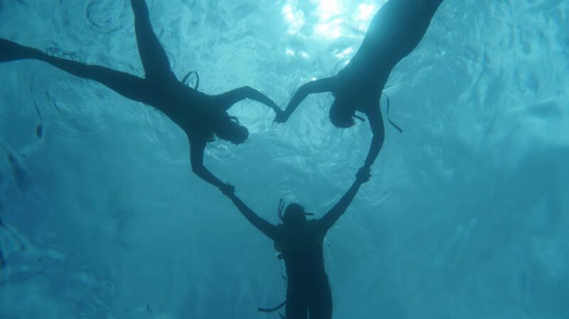 Oahu Dolphin Watch, Turtle Snorkel, Waterslide Activities - Snorkeling with Green Sea Turtles at Makaha