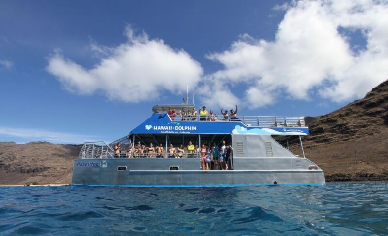 Oahu Dolphin Watch, Turtle Snorkel, Waterslide Activities - All-Inclusive Water Activities and Amenities