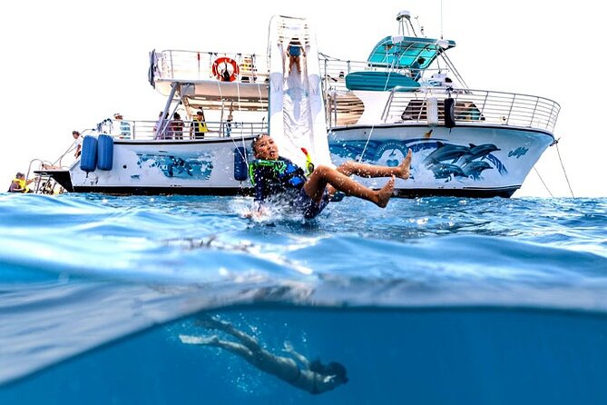 Oahu Dolphin Watch with Turtle Snorkel & Water Slide - Key Points