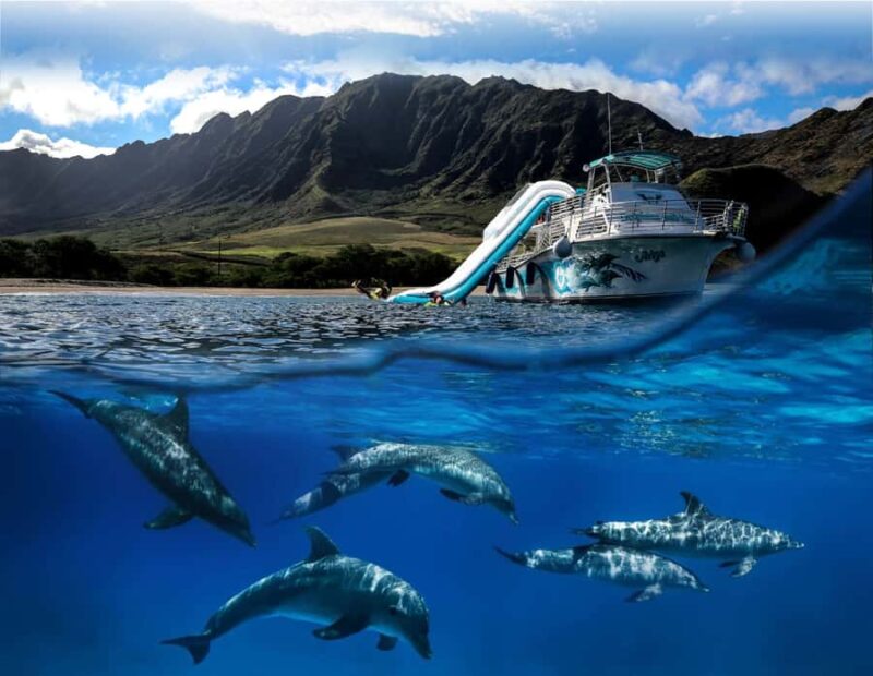 Oahu: Dolphin Watching & Turtle Snorkeling with Waterslide - Marine Wildlife Encounters and Sightseeing
