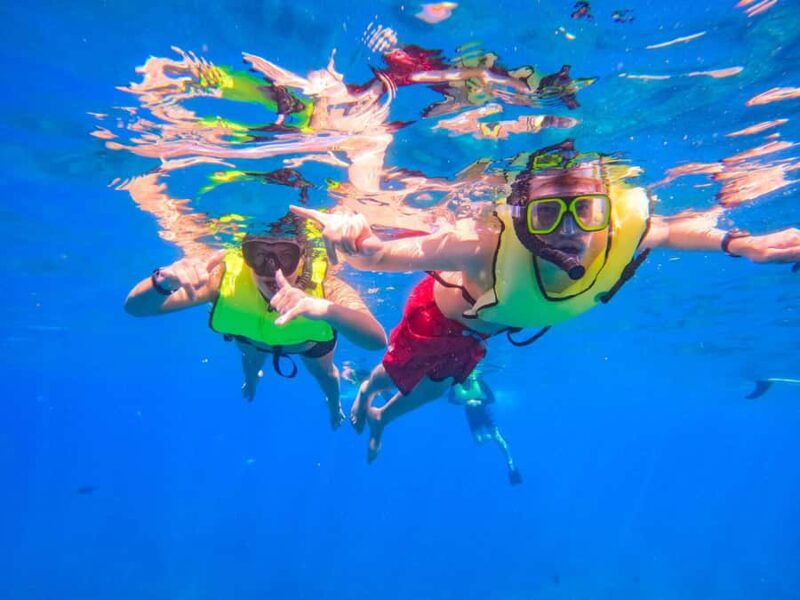 Oahu: Dolphin Watching & Turtle Snorkeling with Waterslide - Water Activities and Waterslide Fun