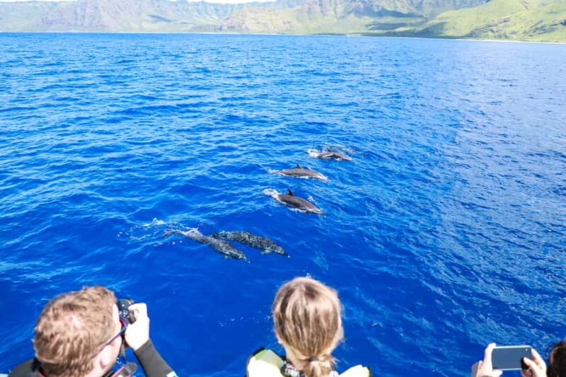 Oahu: Dolphin Watching & Turtle Snorkeling with Waterslide - Highlights from the Extensive Guest Feedback
