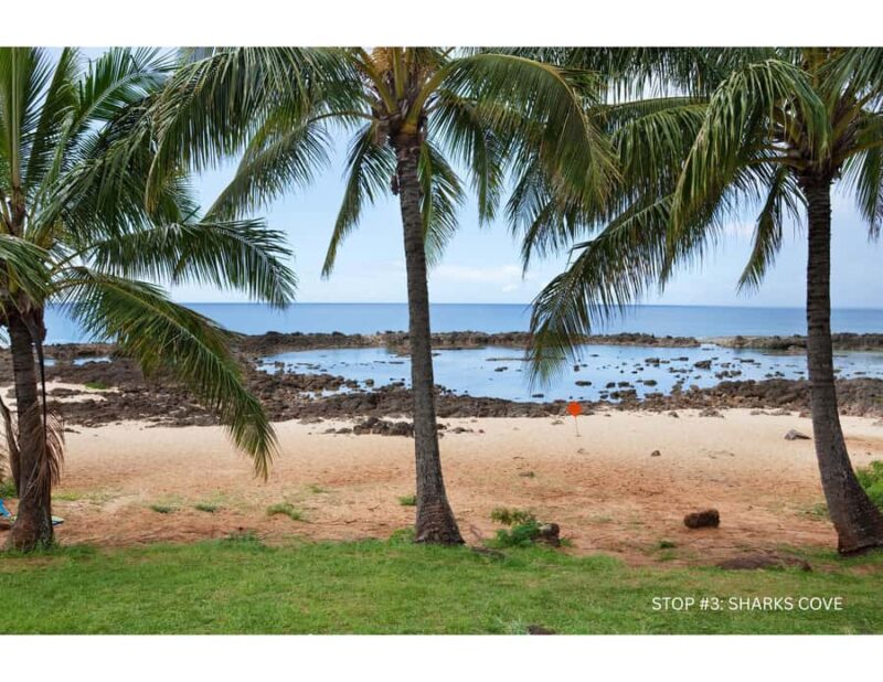 Oahu: Explore North Shore by E-Bike & Snorkel (Self-Guided) - Key Points