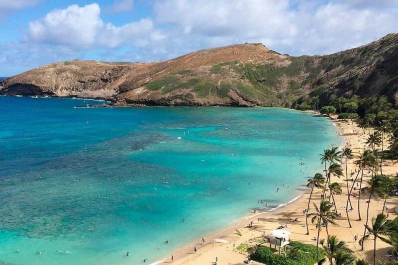 Oahu: Grand Circle Island Tour with Haleiwa - Sampling Hawaii’s Flavors at Tropical Farms