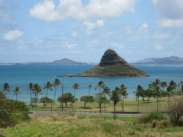 Oahu Guided Circle Island Tour, Swim w/ Turtles, Dole, Blowhole - Key Points