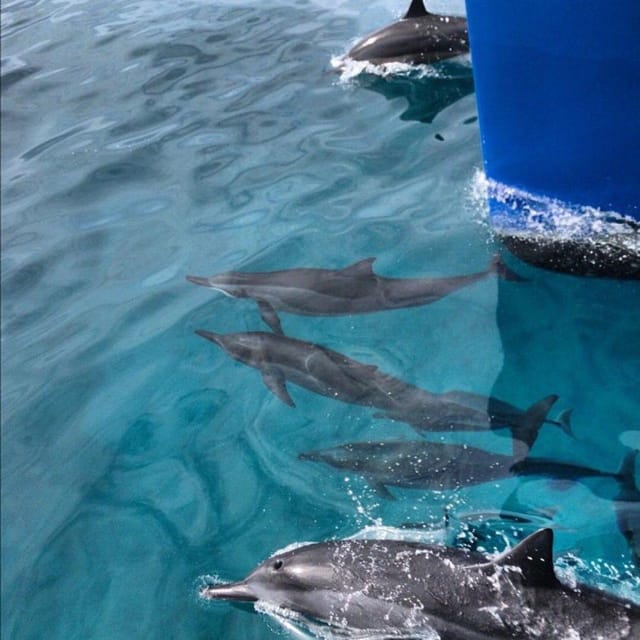 Oahu Hawaii: Honolulu Sailing Tour - Set out on a Scenic 2-Hour Sail Around Oahu’s Coastline