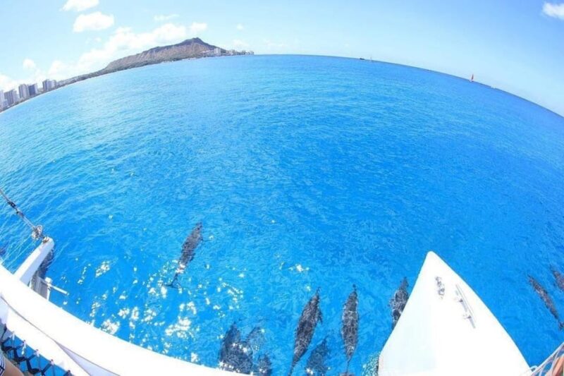 Oahu Hawaii: Honolulu Sailing Tour - Why Choose This Honolulu Sailing Tour