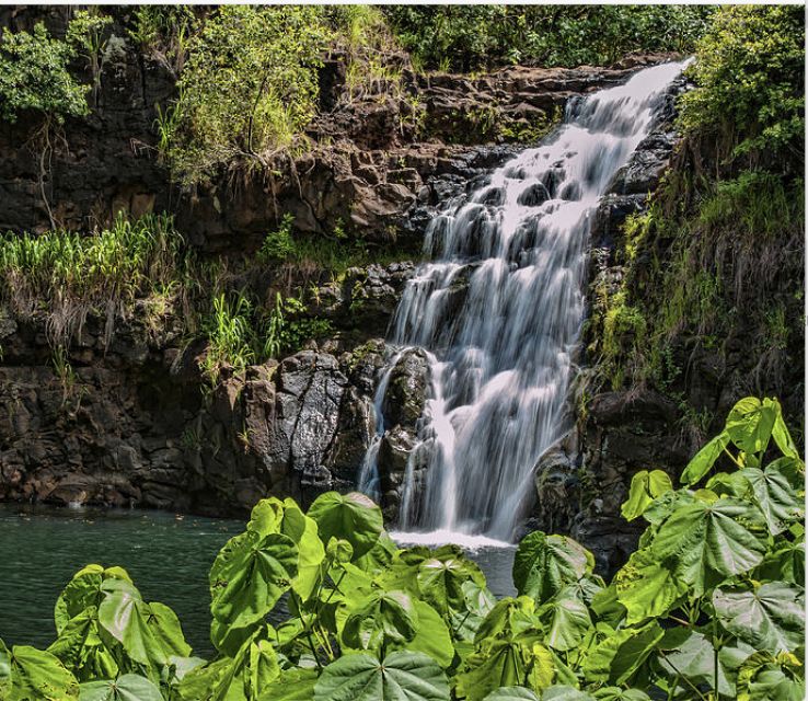 Oahu Hidden Gems & Waimea Botanical Garden/Waterfall tour - Scenic Viewpoints: Pali Lookout and Beyond