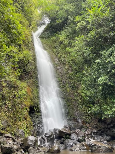 Oahu: Hidden Hawaii Waterfall Hike and Beach Tour - Key Points