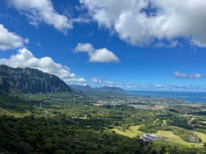 Oahu: Hidden Hawaii Waterfall Hike and Beach Tour - Snack Break with a View: Boba or Local Treats
