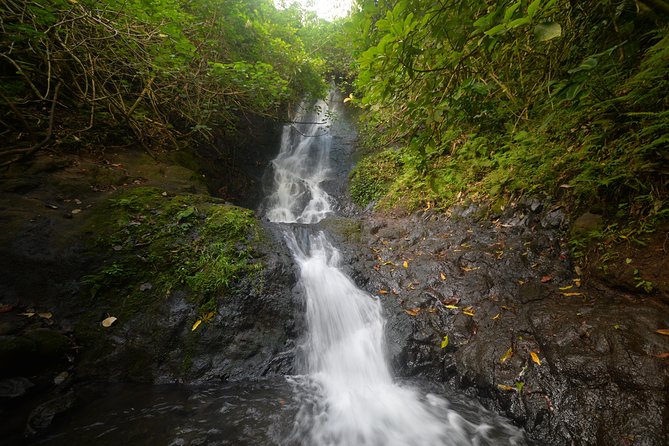 Oahu Hidden Waterfall Hike: A Tropical Paradise Adventure - Key Points