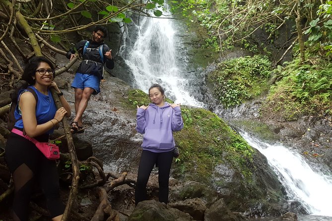 Oahu Hidden Waterfall Hike: A Tropical Paradise Adventure - Exploring Likeke Falls: The Main Attraction