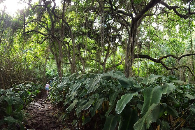 Oahu Hidden Waterfall Hike: A Tropical Paradise Adventure - The Role of the Guides in Creating a Memorable Hike