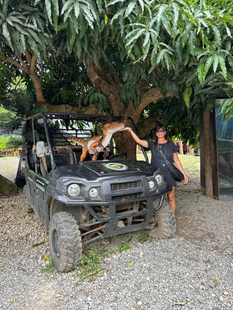 Oahu: Highlights of Oahu Small Group Tour - Whale Watching and Scenic Viewpoints