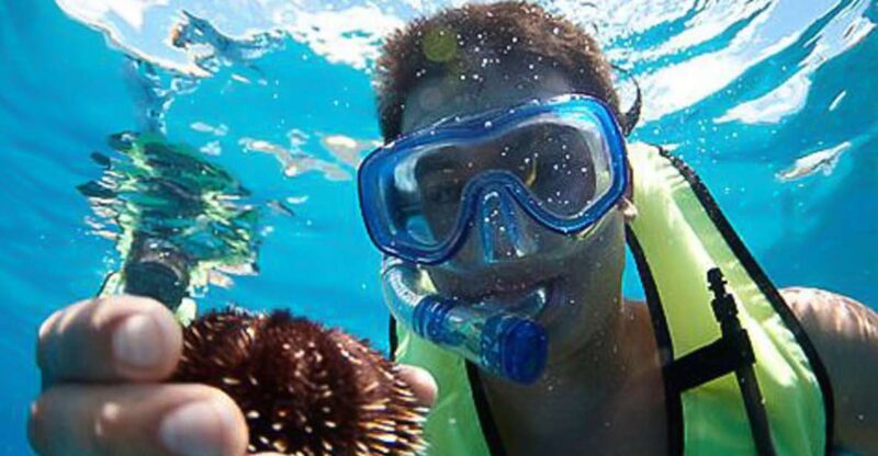 Oahu: Hilton Hawaiian Village Snorkel Tour - Setting out on a Sea Adventure with the Spirit of Aloha