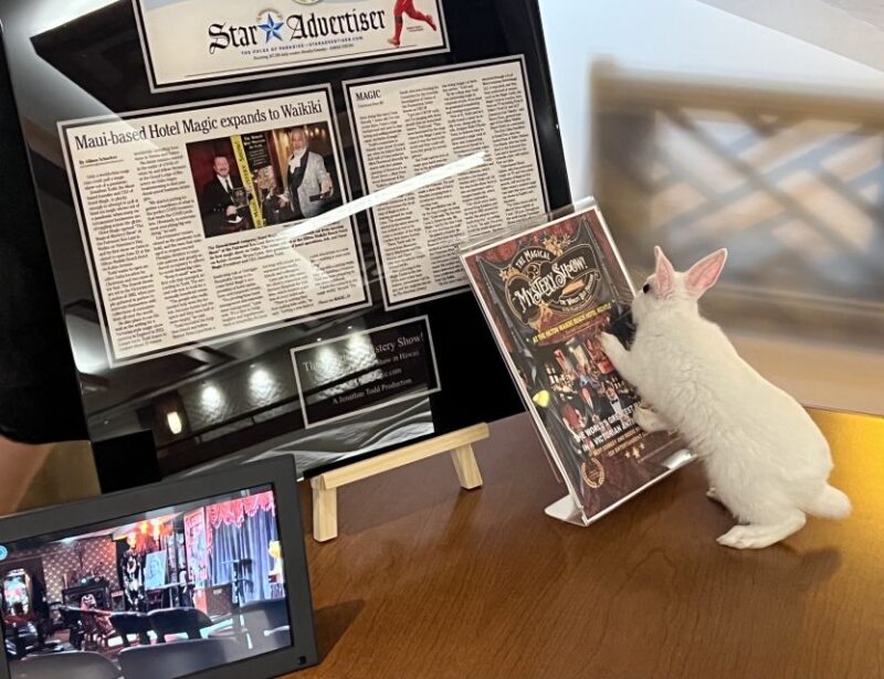 Oahu: Hilton Waikiki Beach Hotel Magical Mystery Show - Experience an Exclusive, Close-Up Magic Show in Waikiki