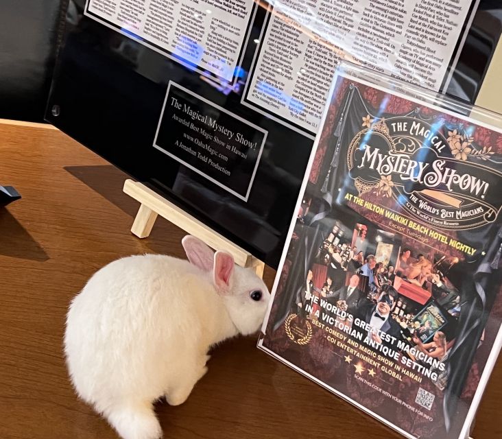 Oahu: Hilton Waikiki Beach Hotel Magical Mystery Show - The Show’s Value and Limitations