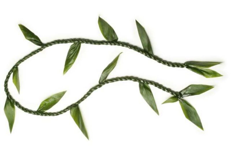 Oahu: Honolulu Airport (HNL) Traditional Lei Greeting - Honolulu Airports Baggage Claim as a Welcome Spot