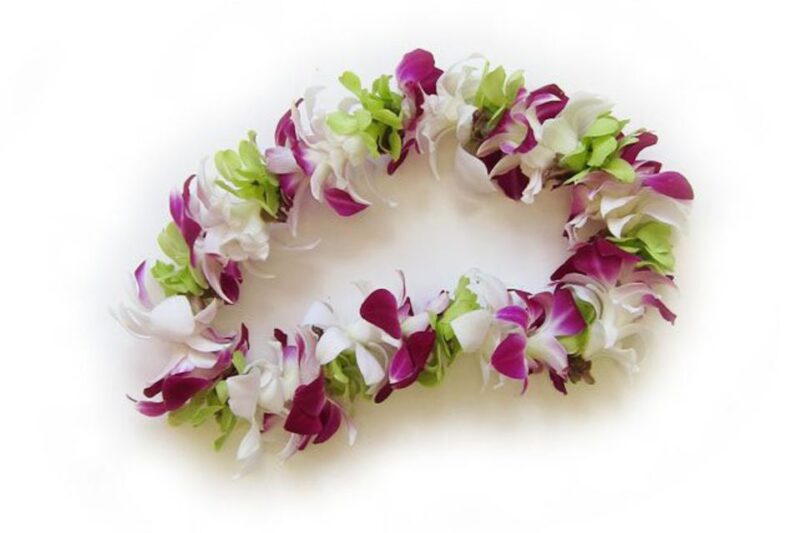 Oahu: Honolulu Airport (HNL) Traditional Lei Greeting - Accessibility and Group Options