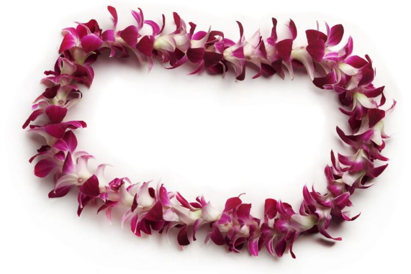 Oahu: Honolulu Airport (HNL) Traditional Lei Greeting - Final Thoughts on the Honolulu Airport Lei Greeting